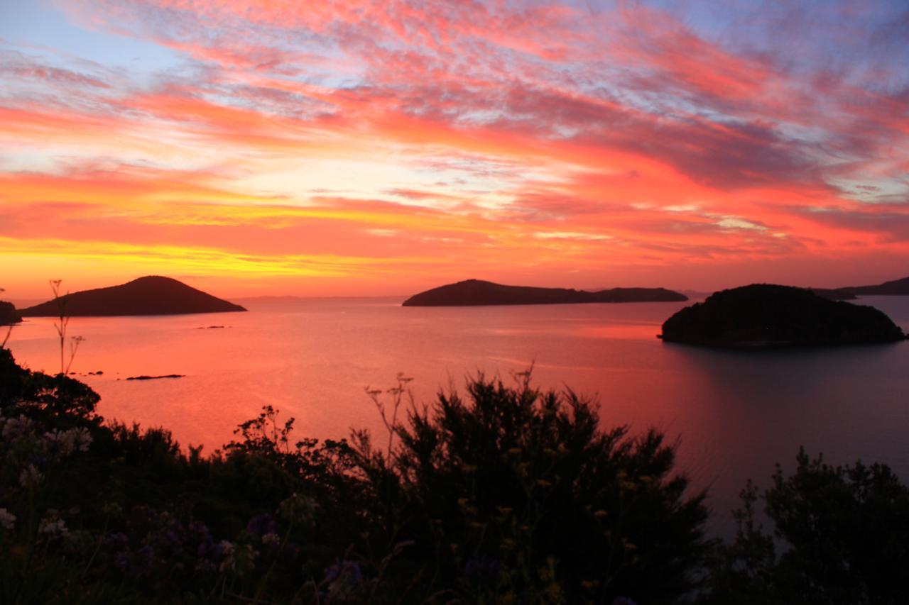 Coromandel Cottages Екстериор снимка