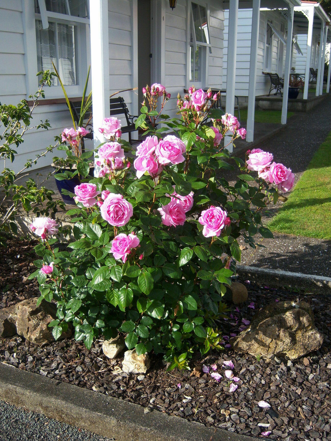 Coromandel Cottages Екстериор снимка
